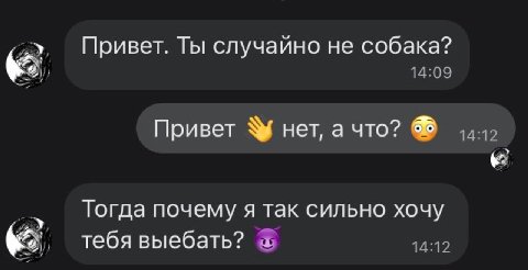 Привет. Ты случайно не собака? Привет нет, а что? Тогда почему я так сильно хочу тебя выебать?