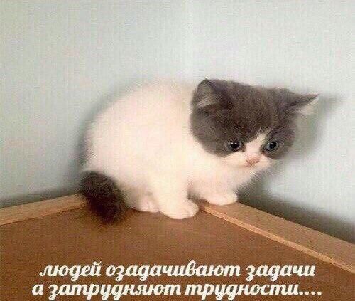 3 людей озадачивают задачи а затрудняют