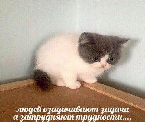 3 людей озадачивают задачи а затрудняют