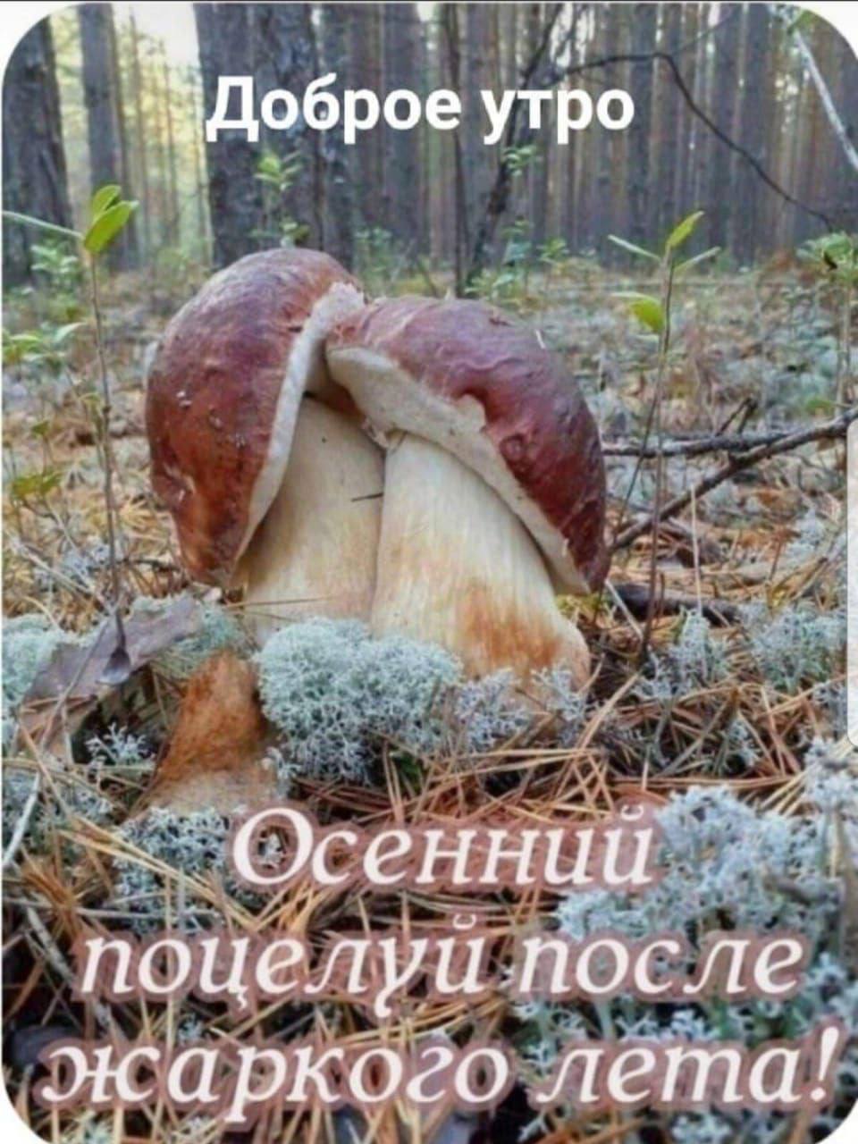 утро Осенний поцелуи после жаркого лета!