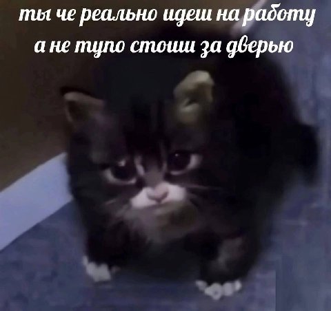 пил че реально идеш на радоту ане тупо стоши за дверью