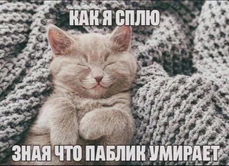 Ran, СПЛЮ. 2 as и ЗНАЯ ЧТО ПАБЛИК УМИРАЕТ.