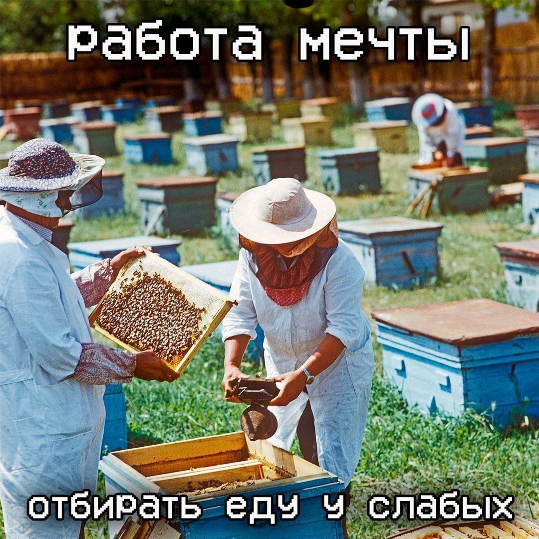работа мечты отбирать едч слабых