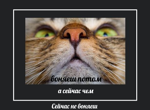 а сеичас чем (Сейчас не воняеш
