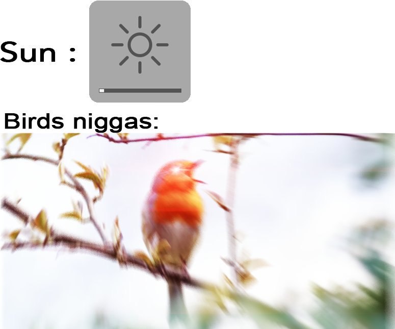 Sun niggas: