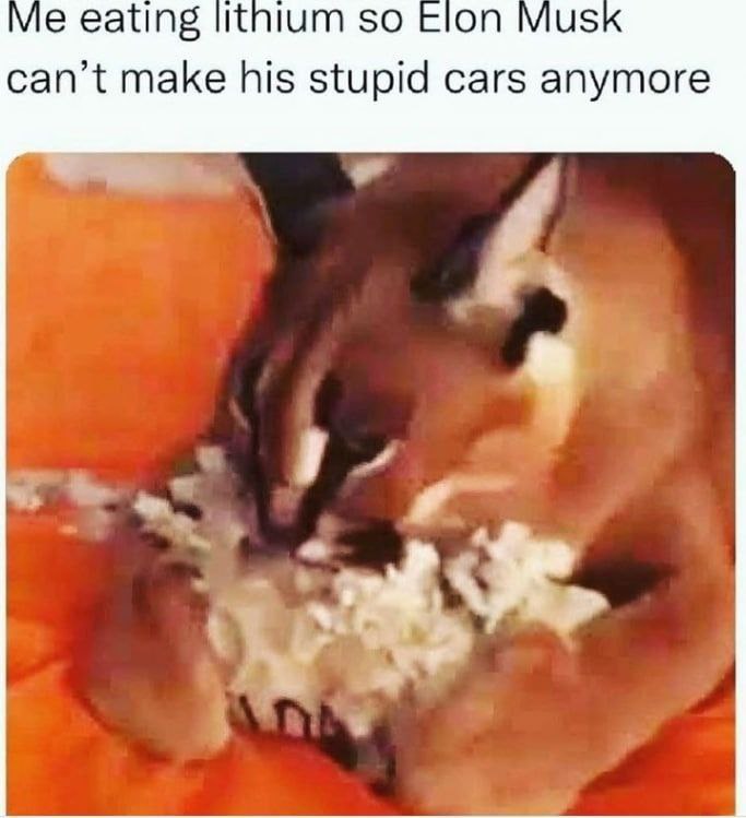 eating Шпит so Elon Mus can’t make his stupid cars anymore i>