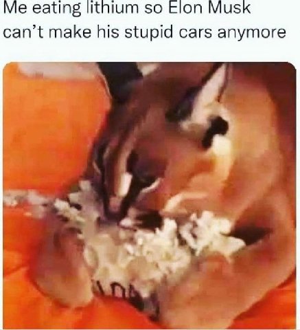 eating Шпит so Elon Mus can’t make his stupid cars anymore i>
