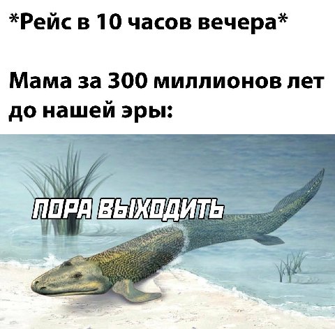 *Рейс в 10 часов вечера* Мама за 300 миллионов лет до нашей эры: ТОРА