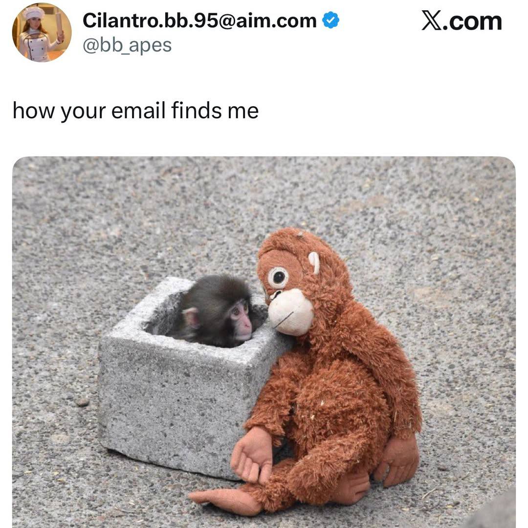 Cilantro.bb.95@aim.com X.com @bb_apes how your email finds me Я О Я 2