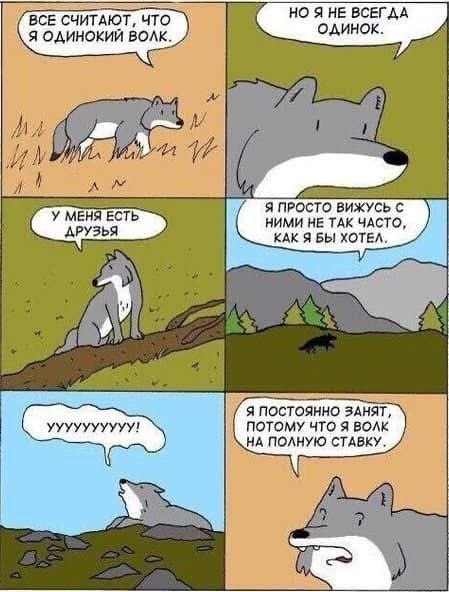 ВСЕ СЧИТАЮТ, что НО Я НЕ ВСЕГДА Я ОДИНОКИЙ ВОЛК. aft ‘A. Я ПРО сто ВИЖУСЬ С У МЕНЯ ЕСТЬ НИМИ НЕ ТАК ЧАСТО, КАК Я БЫ ХОТЕЛ, Я ПОСТОЯННО ЗАНЯТ, ПОТОМУ ЧТО Я ВОЛК НА СТАВКУ.