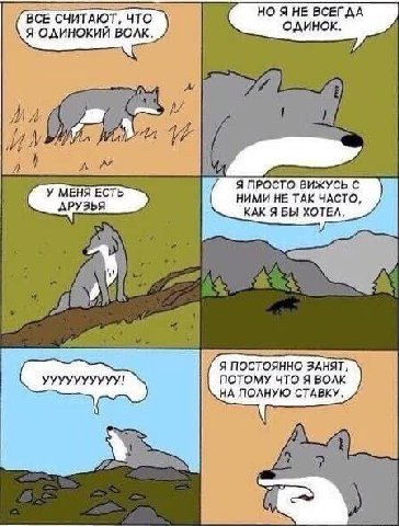 ВСЕ СЧИТАЮТ, что НО Я НЕ ВСЕГДА Я ОДИНОКИЙ ВОЛК. aft ‘A. Я ПРО сто ВИЖУСЬ С У МЕНЯ ЕСТЬ НИМИ НЕ ТАК ЧАСТО, КАК Я БЫ ХОТЕЛ, Я ПОСТОЯННО ЗАНЯТ, ПОТОМУ ЧТО Я ВОЛК НА СТАВКУ.