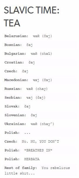 SLAVIC TIME: TEA Belarusian: чай Bosnian: баз Bulgarian: зай (chai) Croatian: баз Czech: баз Macedonian: Russian: чай (chay) Serbian: Slovak: Slovenian: Ukrainian: чай (chay™) Polish: Czech: No. NO, P