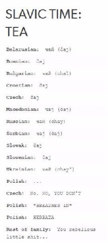 SLAVIC TIME: TEA Belarusian: чай Bosnian: баз Bulgarian: зай (chai) Croatian: баз Czech: баз Macedonian: Russian: чай (chay) Serbian: Slovak: Slovenian: Ukrainian: чай (chay™) Polish: Czech: No. NO, P