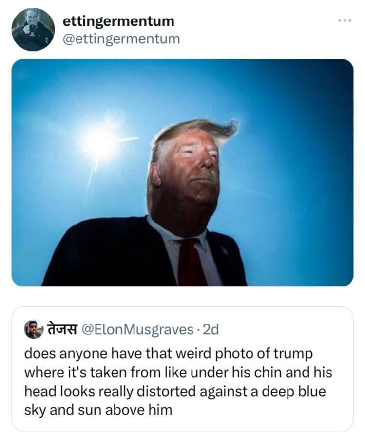 ettingermentum 2 @ettingermentum asta @ElonMusgraves does anyone have that weird photo of trump where it's taken from like under his chin and his head looks really distorted against a deep blue sky an