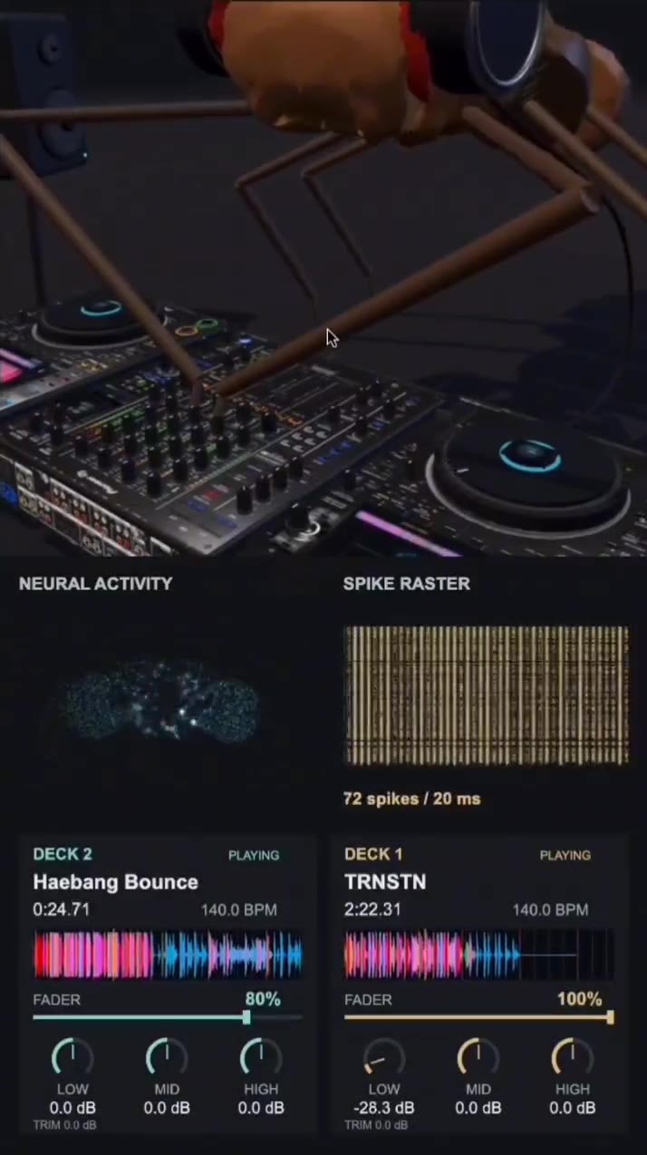 NEURAL ACTIVITY SPIKE RASTER ОЕСК2 PLAYING DECK1 PLAYING Haebang Bounce TRNSTN