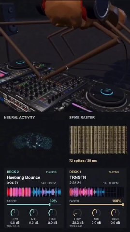 NEURAL ACTIVITY SPIKE RASTER ОЕСК2 PLAYING DECK1 PLAYING Haebang Bounce TRNSTN