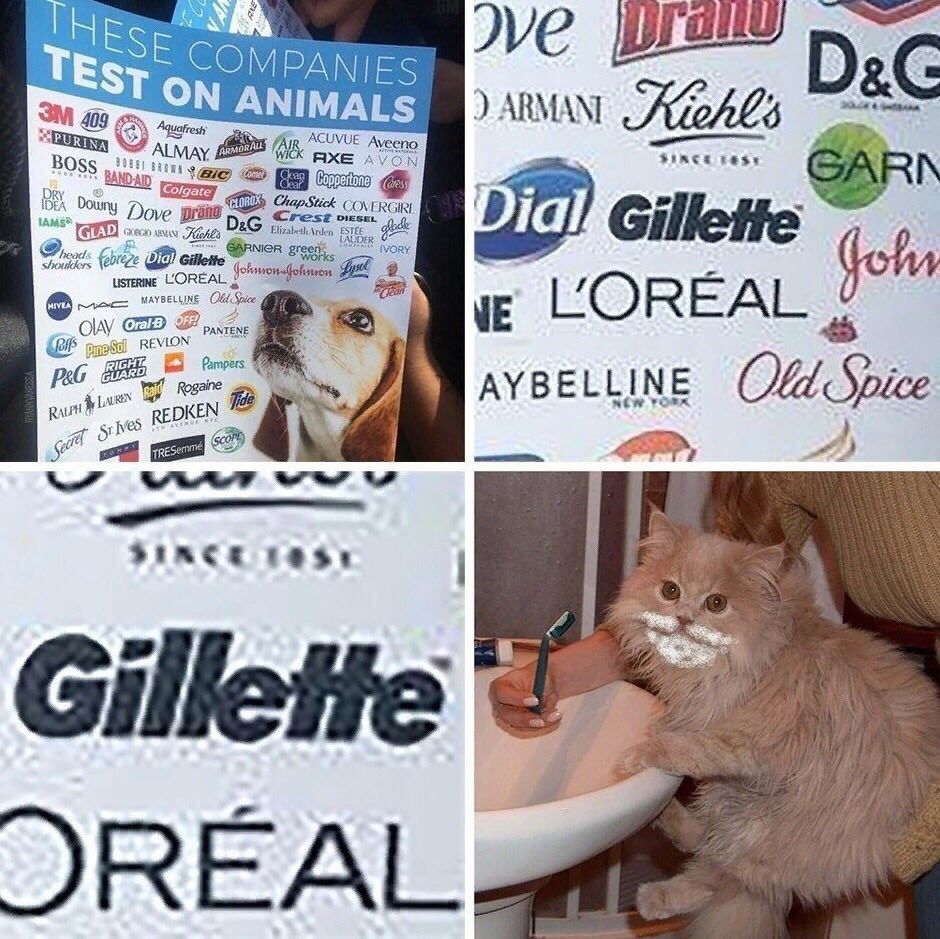 COMPANIES ANIMALS DzG 409 BOss ACUVUE Aveeno, Downy Dove LOREAL fom ЧЕ LOREAL Rogaine REDKEN Old Var SINCE Gillette