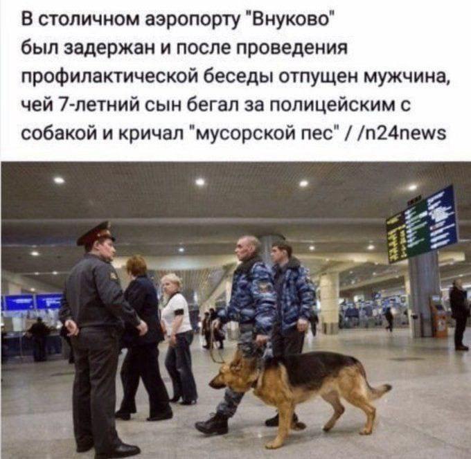В столичном аэропорту "Внуково" был задержан и после проведения профилактической беседы отпущен мужчина, чей 7-летний сын бегал за полицейским с собакой и кричал "мусорской пес" /n24news