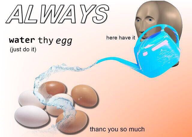 #1 here have it water thy egg (just it) thanc you so much