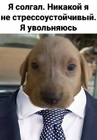 Я солгал. Никакои я He стрессоустоичивый. Я увольняюсь <A