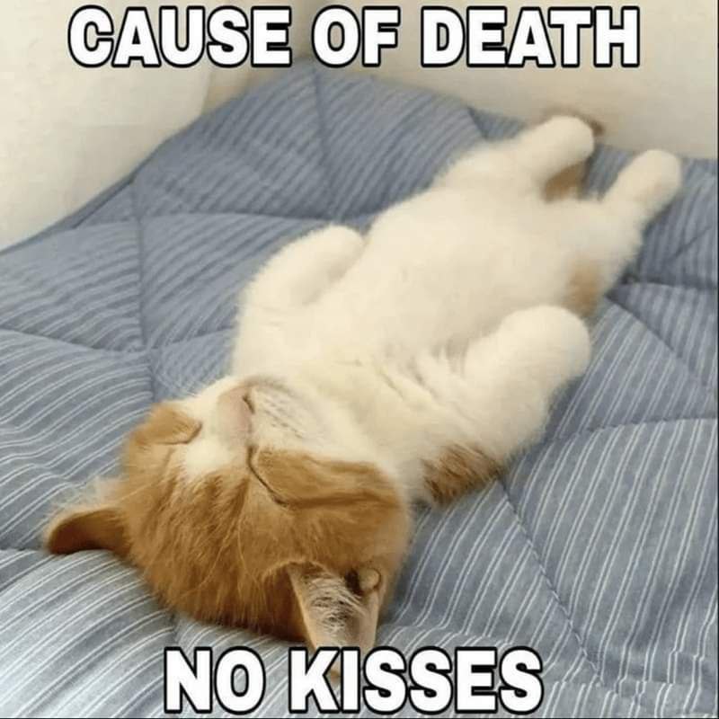 CAUSE OF ОЕА: