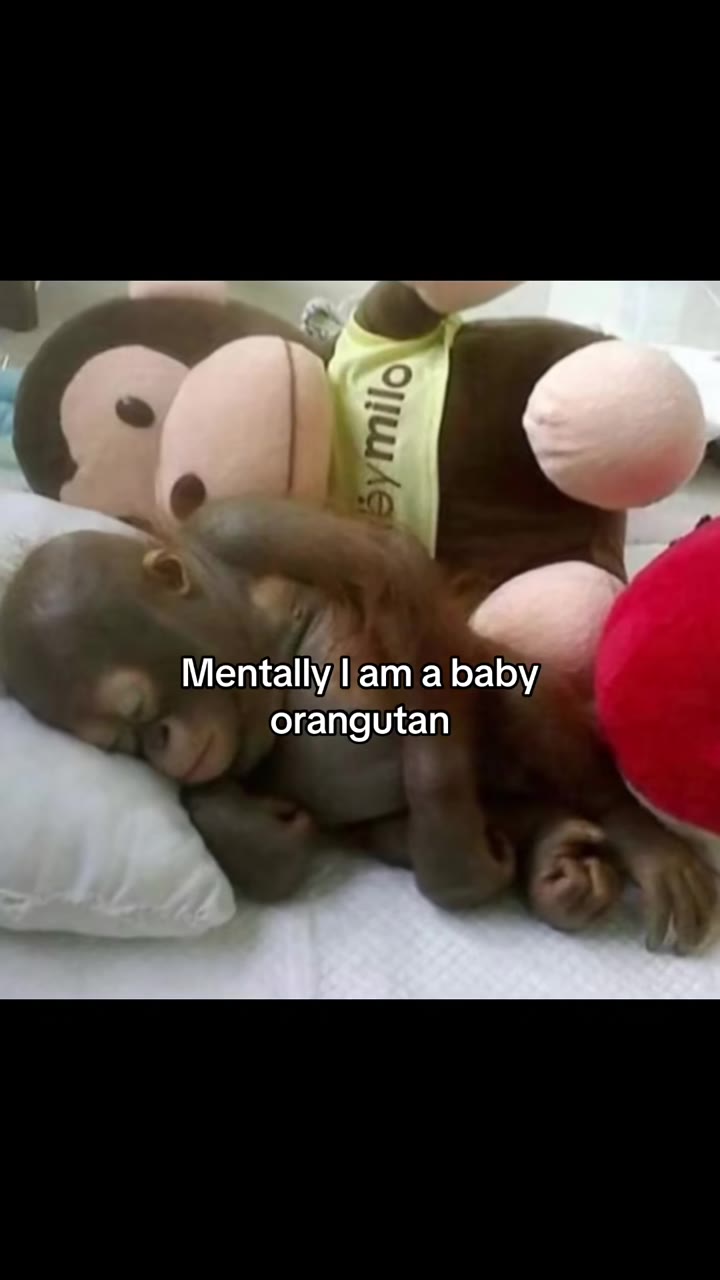 МепцаНУЛ ат а baby 0 Mentally |amababy 3 Mentally! аптабабуд _