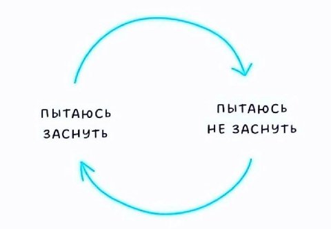 мой распорядок дня: