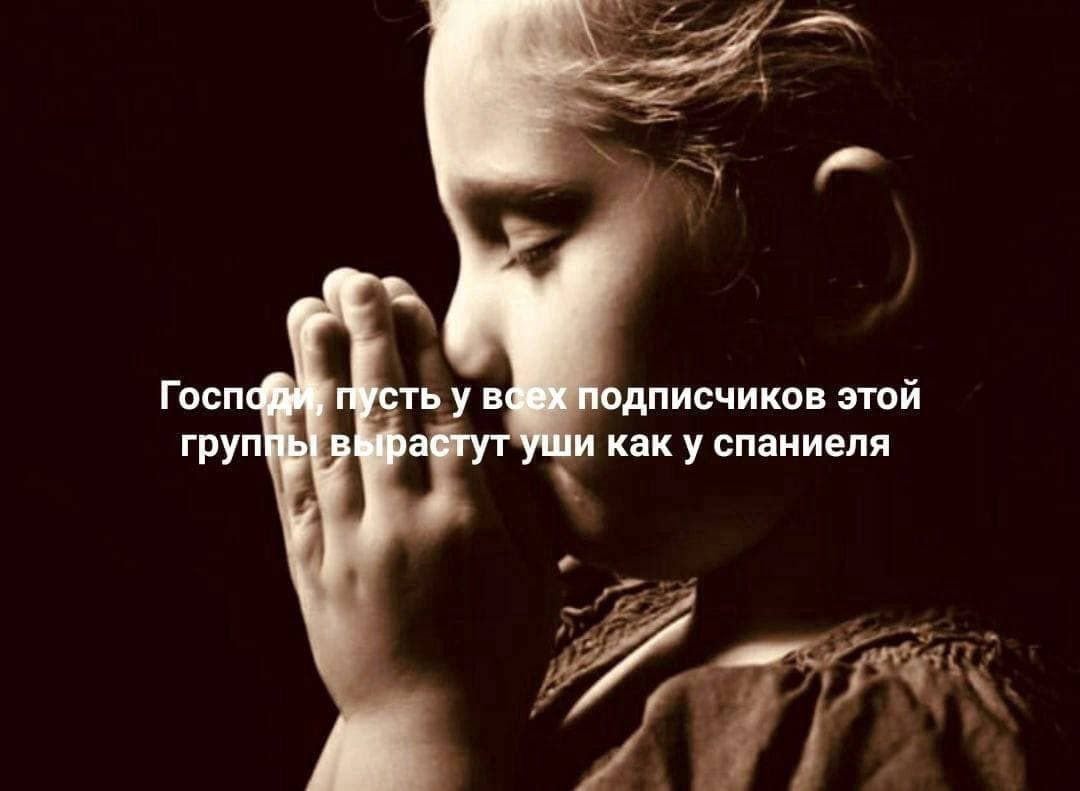 Госп усть у ваех подписчиков этой нрастут уши как у спаниеля