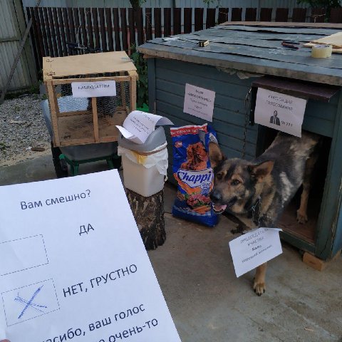 3 НАБЛЮДАТЕЛИ 3 A Вам ибо, до