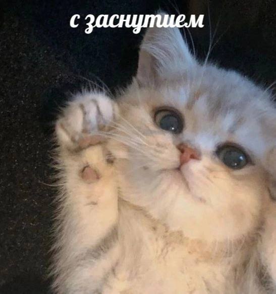 С