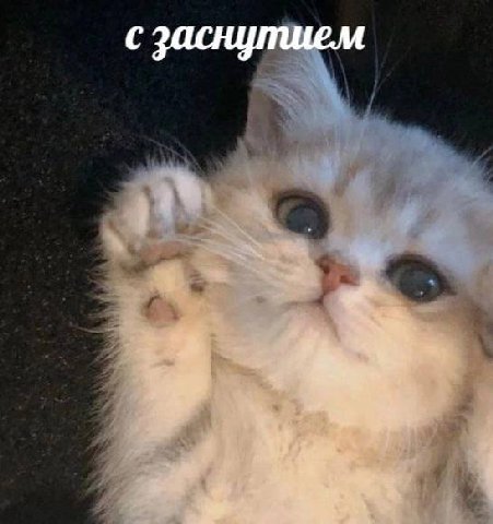 С