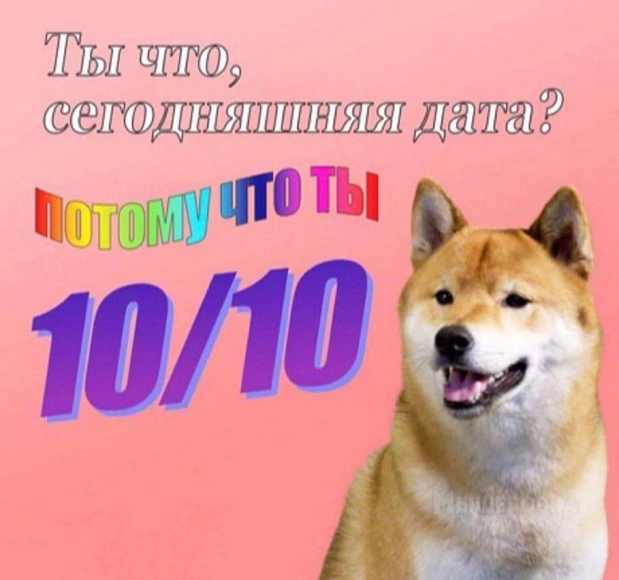 распространите