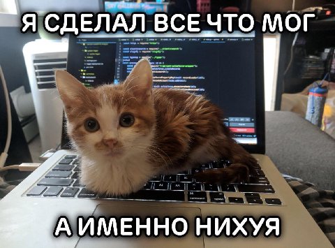 СДЕЛАЛ ВСЕ ЧТО МОГ А ИМЕННО НИХУЯ