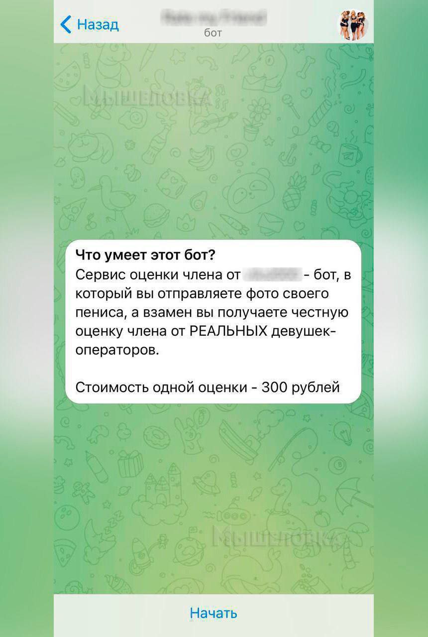 Назад бот Что умеет этот бот? Сервис оценки членаот -ботв который вы отправляете фото своего пениса, а взамен вы получаете честную оценку члена от РЕАЛЬНЫХ девушек- операторов. Стоимость одной оценки 