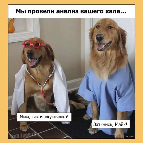 Мы провели анализ вашего кала... 4 Ммм, такая вкусняшка!