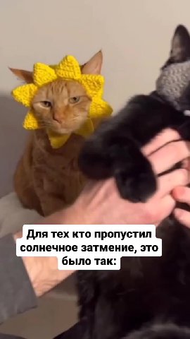 Для тех кто пропустил солнечное затмение, это |