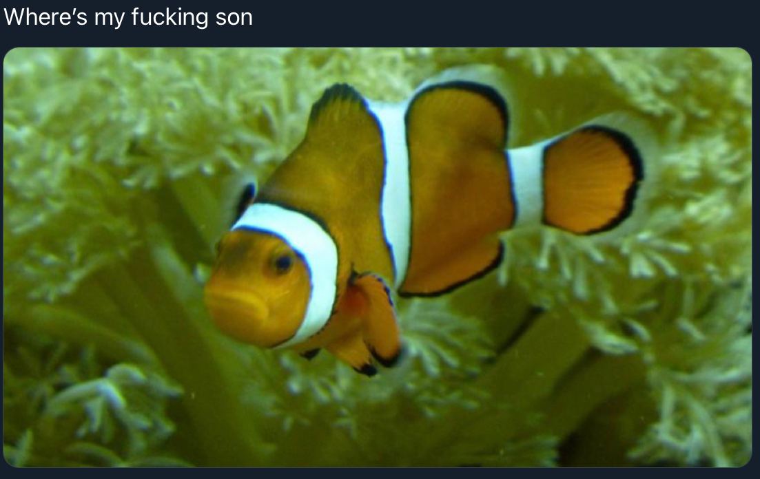 fucking son