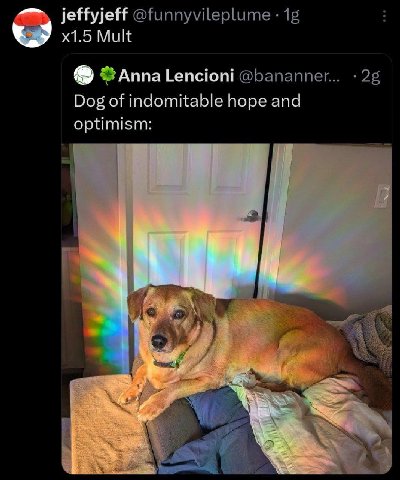 jeffyjeff @funnyvileplume 15 Mult @banannev... Dog of indomitable hope and optimism: