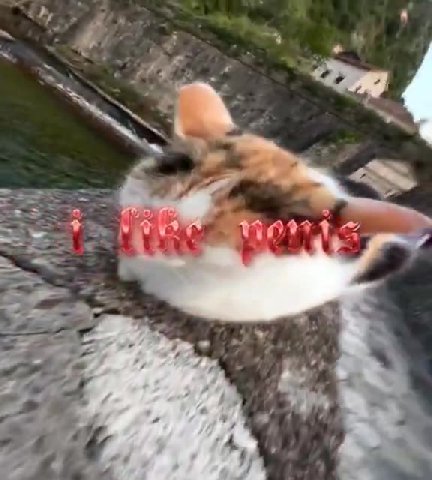 мем