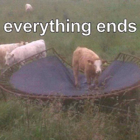 everything ends