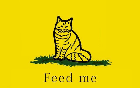 Feed me