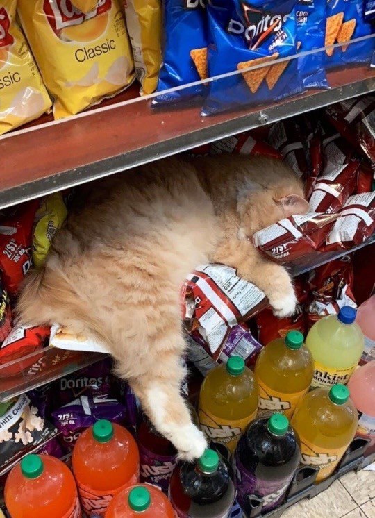 mood