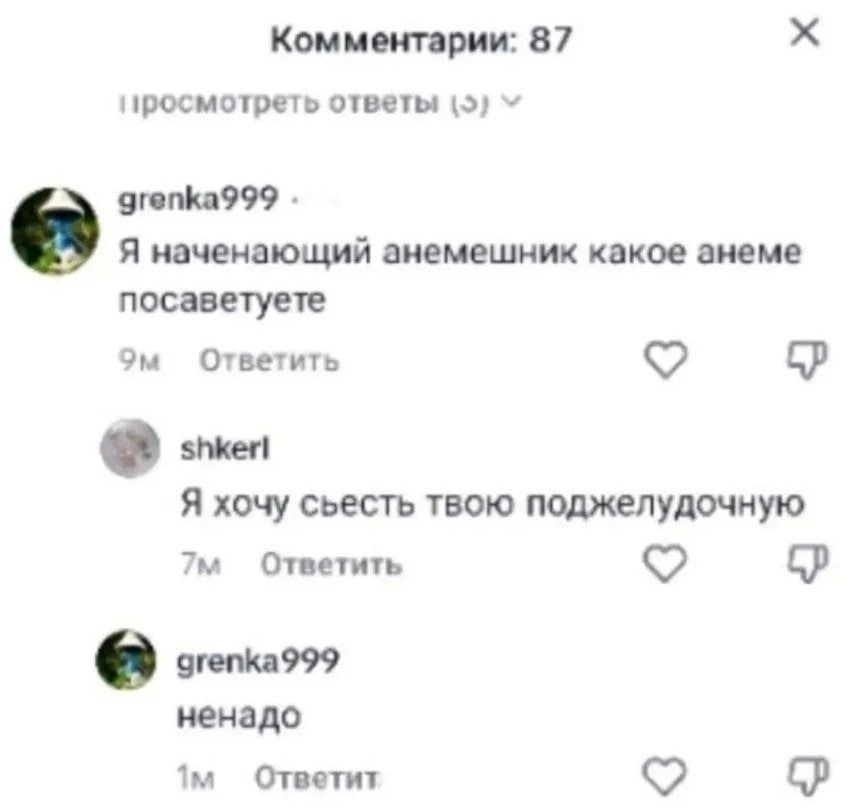 Комментарии: 87 просмотреть ответы grenka999 Я наченающий анемешник какое анеме посаветуете Ответить Я хочу съесть твою поджелудочную Ответить grenka999 ненадо Ответит
