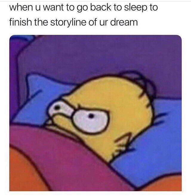 when и want to back to sleep to finish the storyline of dream