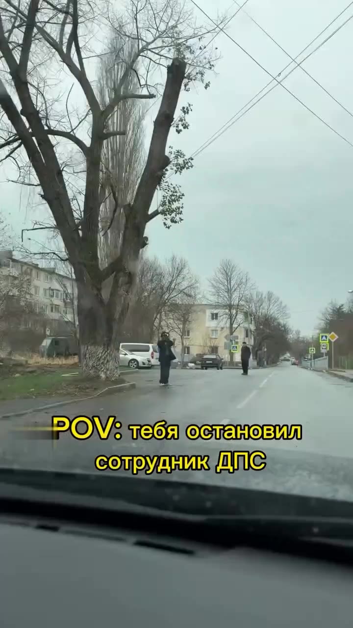 к we We a 4 к tit ASS NAN a тебя остановил сотрудник ДПС
