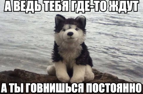 1 ТЕБ TOM 2 2 Ame” we А ТЫ ГОВНИШЬСЯ ПОСТОЯННО