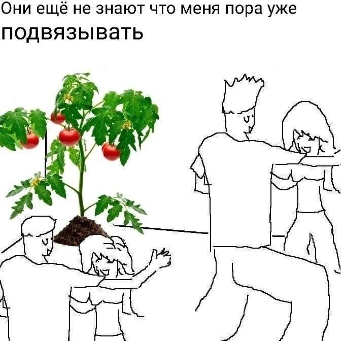 Они ещё не знают что меня пора уже подвязывать