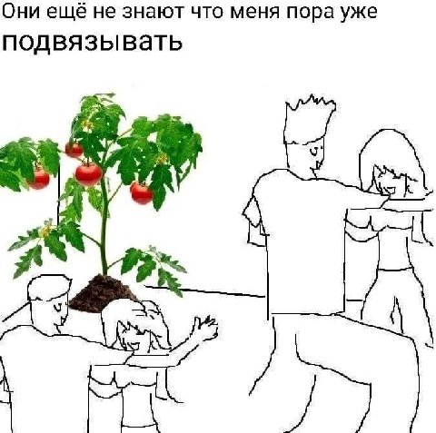 Они ещё не знают что меня пора уже подвязывать