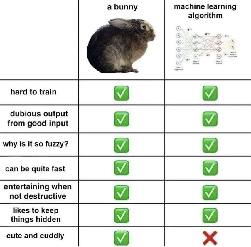 а Биппу machine learning algorithm hard to train dubious output from good input why is it so fuzzy? entertaining when not destructive likes to keep things hidden cute and cuddly