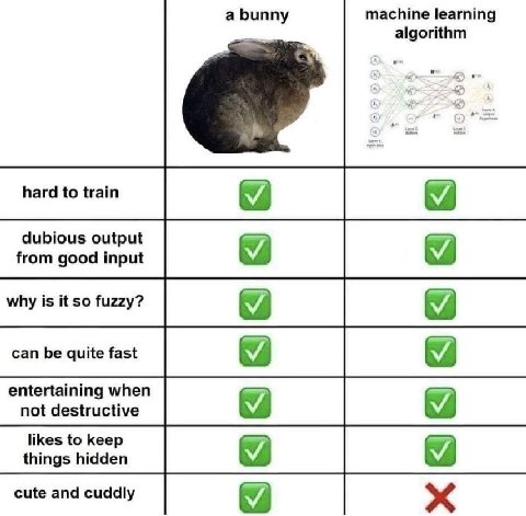 а Биппу machine learning algorithm hard to train dubious output from good input why is it so fuzzy? entertaining when not destructive likes to keep things hidden cute and cuddly